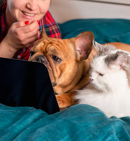 Apartments Pet Rules